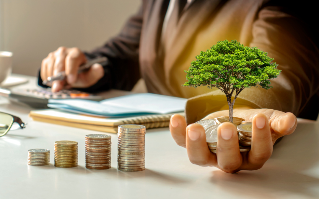 Trust vs Company: Which Investment Structure is best for You