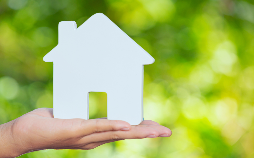 Can a Trust Let a Company Run Rentals in SA?